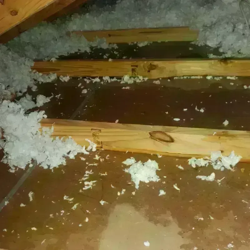 Attic Water Damage in Machesney Park, IL